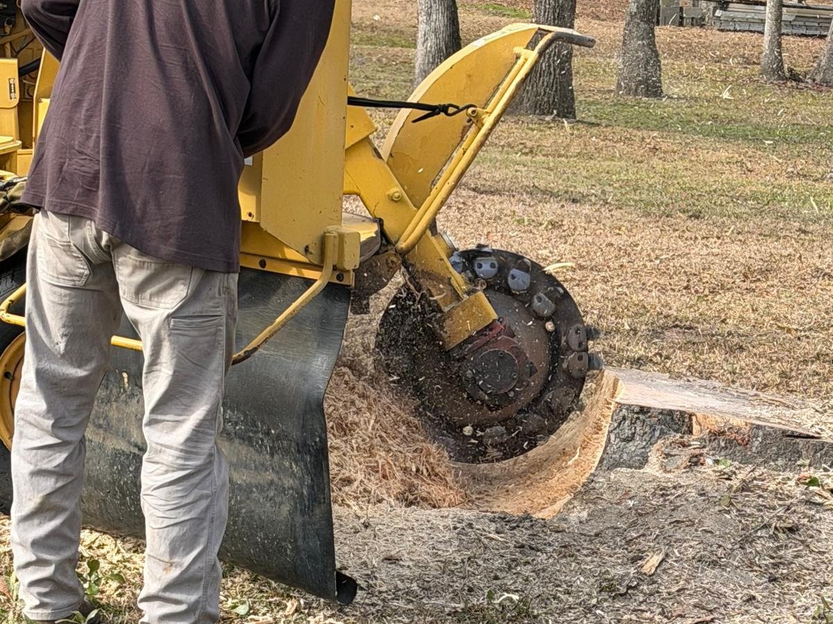 El Costeño Tree Service LLC